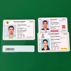 carteiras de identificação emitidas para pessoas com TEA